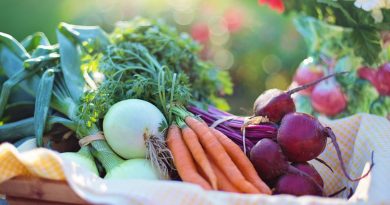 Sécurité alimentaire mondiale Sécurité alimentaire mondiale