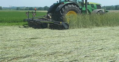 Une alternative au glyphosate ? Une alternative au glyphosate ?