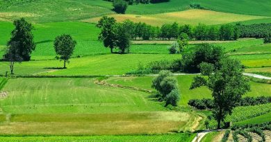 Moana, étudiante en Erasmus+ Agroforesterie
