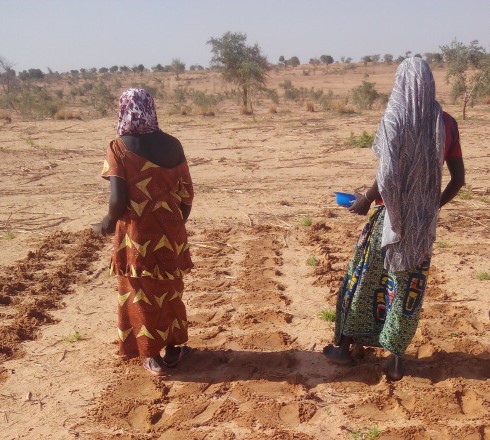 Figure 1. Women planting millet with locally selected seeds (UNDP 2015)