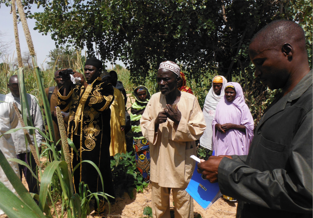 Figure 4. Peer-to-peer learning and dissemination on farmers’ fields (UNDP 2015)