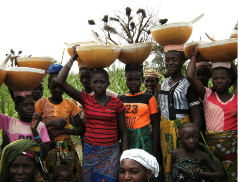 Figure 5. Women participating in dry season gardening and millet seed selection (UNDP 2015)