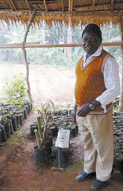 Figure 1. A nursery developed for tree dissemination to farmers; © Roger Leakey