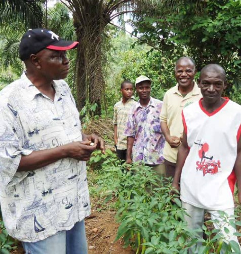 Figure 3: Farmer demonstration of the cultivation, propagation and management of afang (UNEP 2017