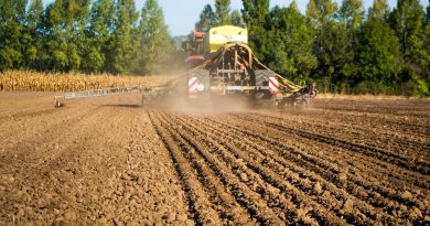 Le semis sous couvert végétal comme une des solutions de l’agriculture de demain Semis sous couvert végétal