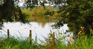 Climat : quelles solutions pour les étangs ? Climat : quelles solutions pour les étangs ?