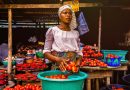 Comment développer les systèmes alimentaires en Afrique ?