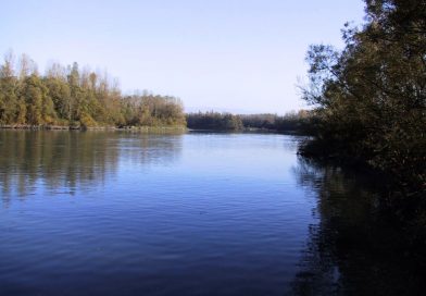 PONDERFUL : Les petits plans d’eau, des alliés insoupçonnés pour notre avenir