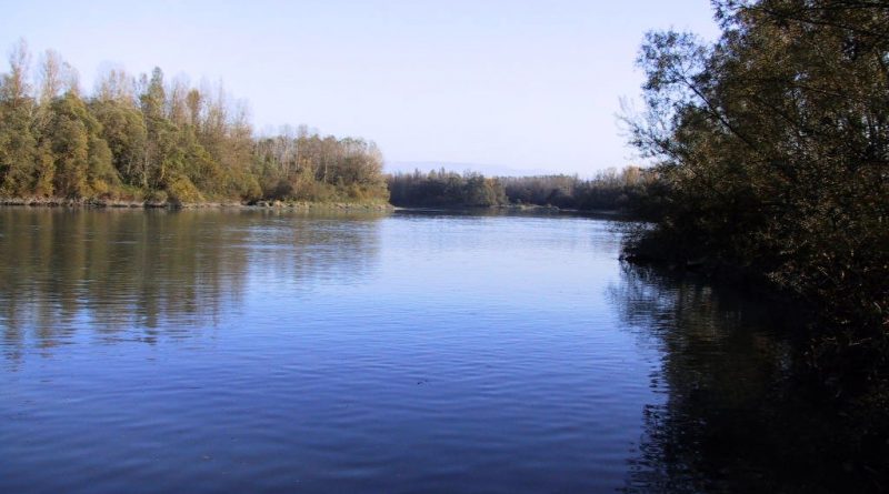 PONDERFUL : Les petits plans d’eau, des alliés insoupçonnés pour notre avenir